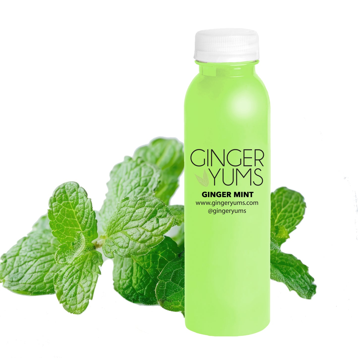 Ginger Yums™ Mint